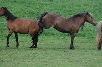 /album/boje/snimek-133-jpg/